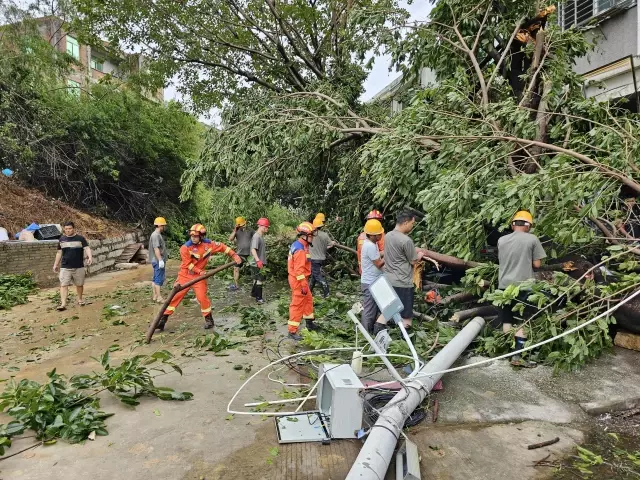 Doksuri Tayfunu, Çin'in Güneydoğusunda Şiddetli Yağış ve Rüzgarlara Neden Oldu