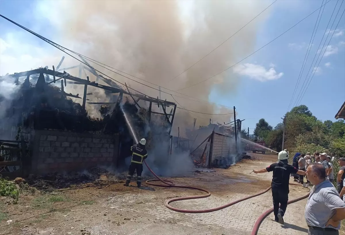 Düzce\'de çıkan yangında ahır, samanlık, otomobil ve traktör zarar gördü