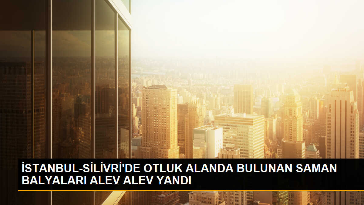 Silivri\'de Otluk Alanda Yangın Çıktı