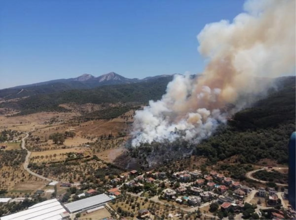 İzmir Güzelbahçe\'de Orman Yangını