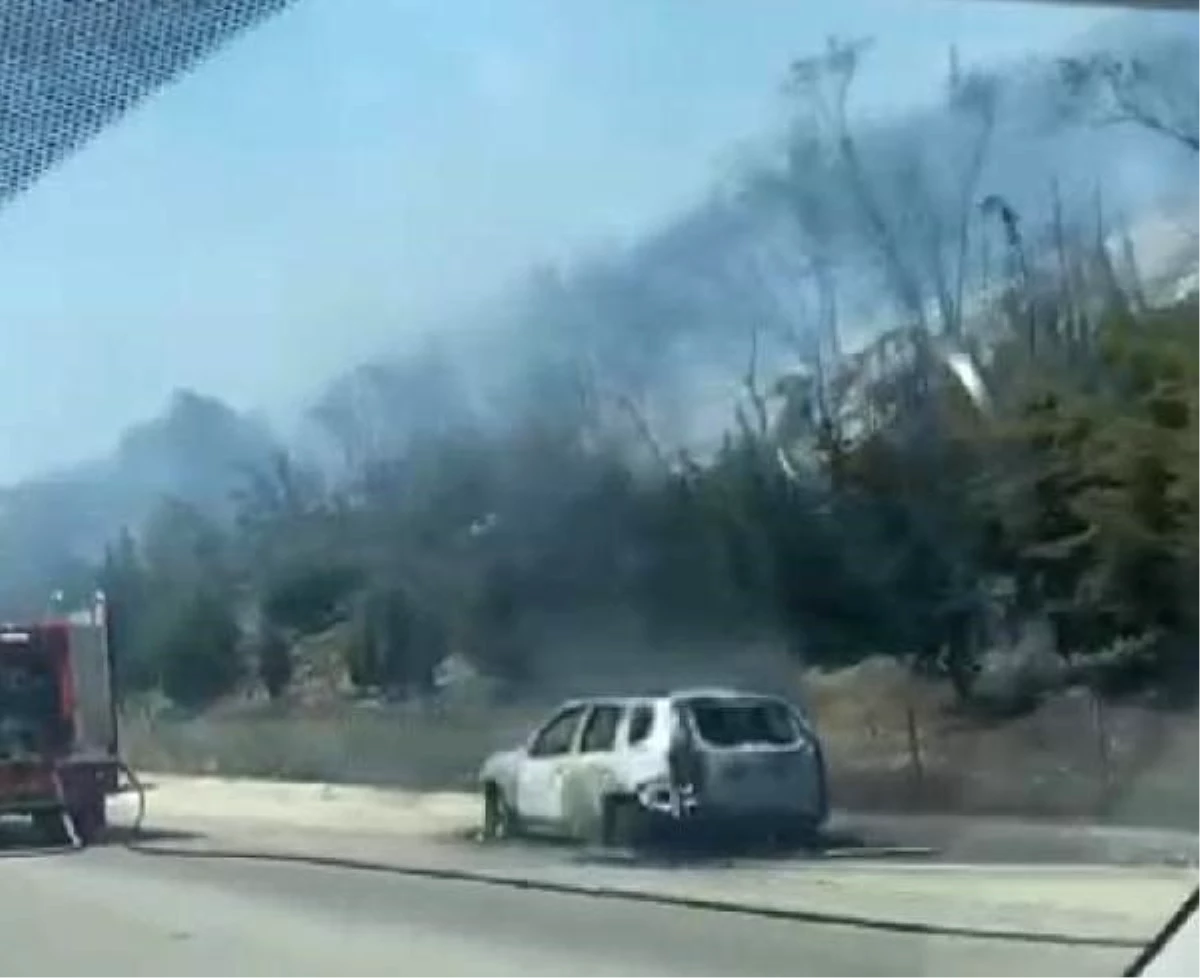 İzmir\'de bir orman yangını daha çıktı