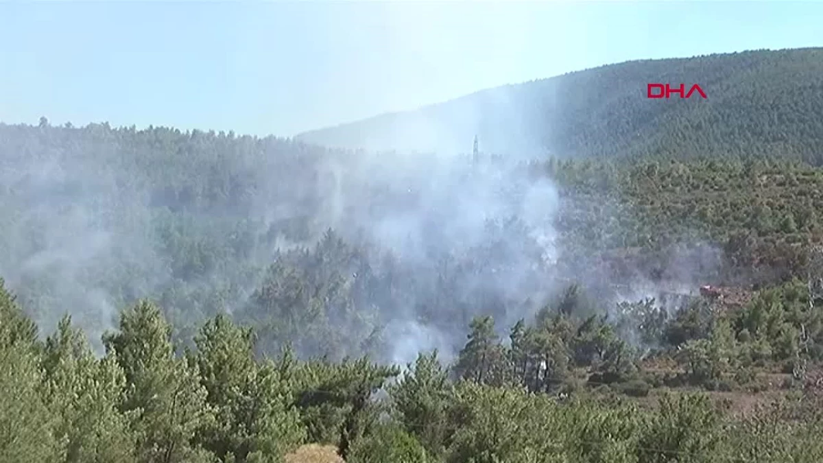 İzmir Güzelbahçe\'de orman yangını