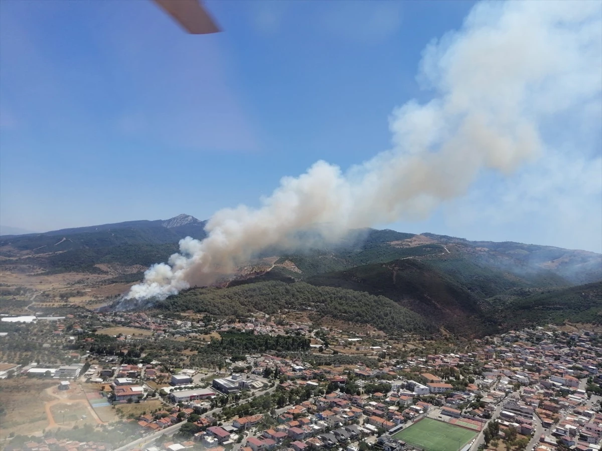 İzmir\'in Güzelbahçe ilçesinde ormanlık alanda çıkan yangına müdahale ediliyor