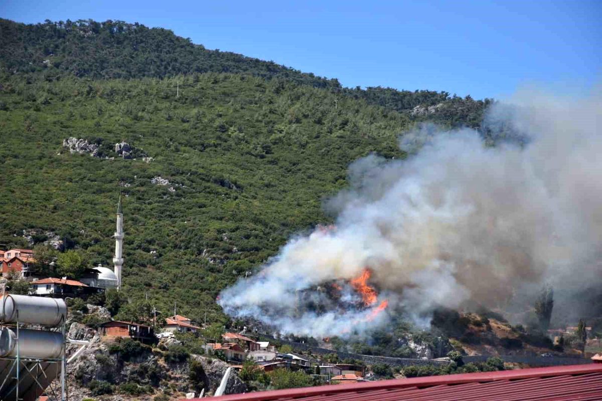 İzmir\'in Kemalpaşa ilçesinde orman yangını çıktı