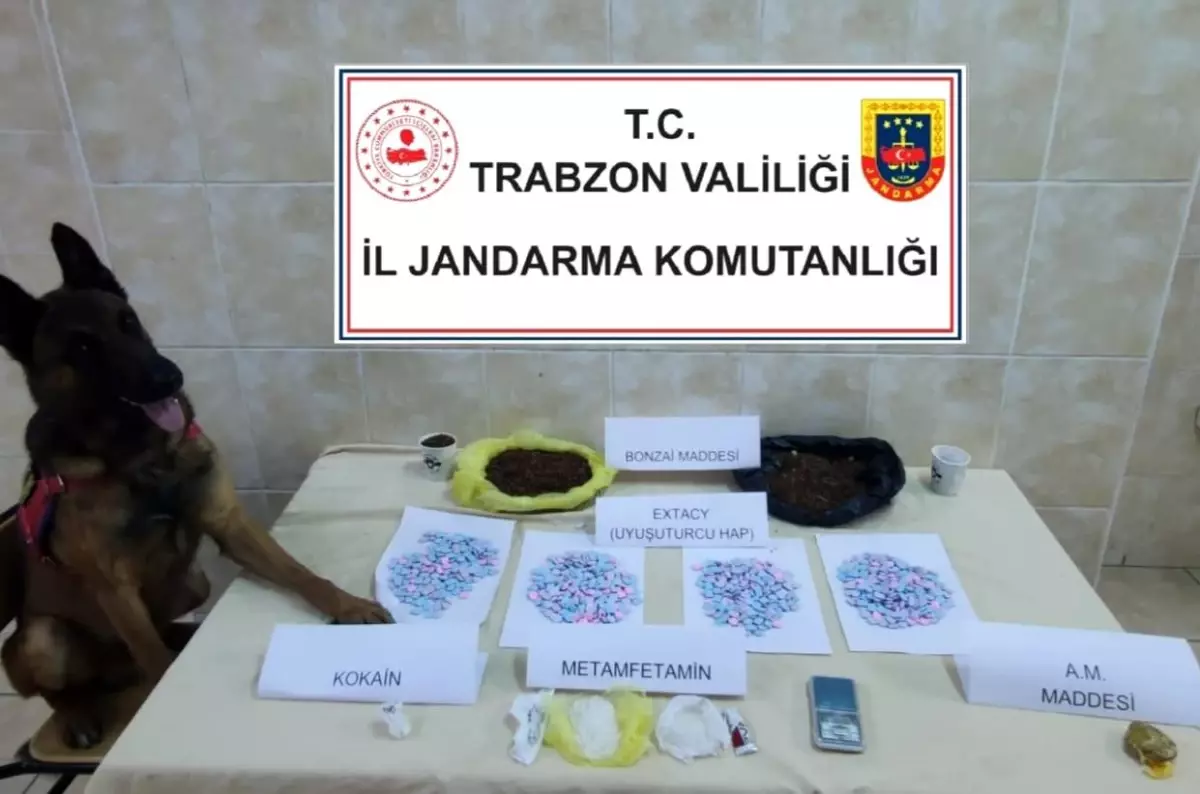 Trabzon\'da Jandarma Narkotik Köpeği Duman\'ın Başarılı Operasyonu