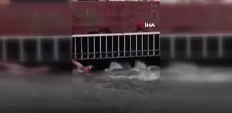 Meksikalı gazeteci selde boğulmak üzere olan evsiz adamı kurtardı