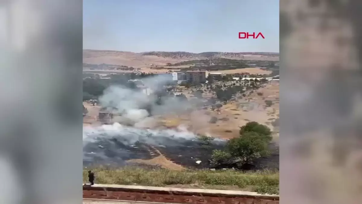 Siirt\'te fıstık bahçesinde çıkan yangında 50 ağaç ile 5 dönüm alan zarar gördü