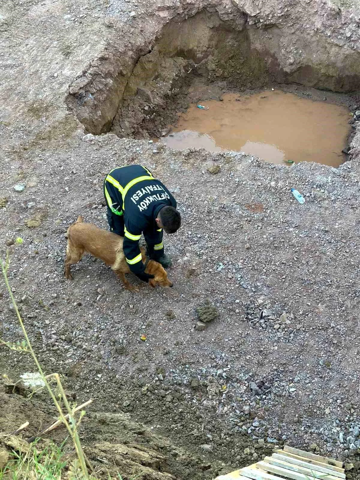 Yalova\'da İnşaat Temeline Düşen Köpek İtfaiye Ekipleri Tarafından Kurtarıldı