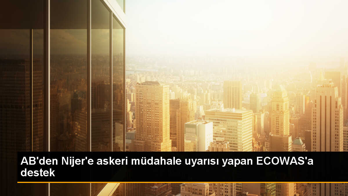 AB, Nijer\'deki darbeye ECOWAS\'ın aldığı tedbirleri destekliyor