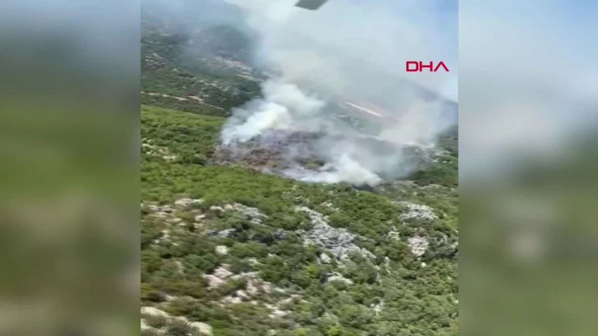Antalya\'da Aksu ve Demre\'de Orman Yangını