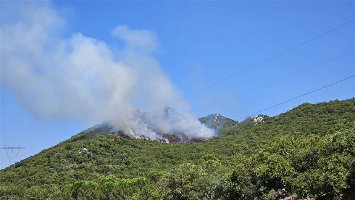 Demre\'deki Orman Yangını Kontrol Altına Alındı