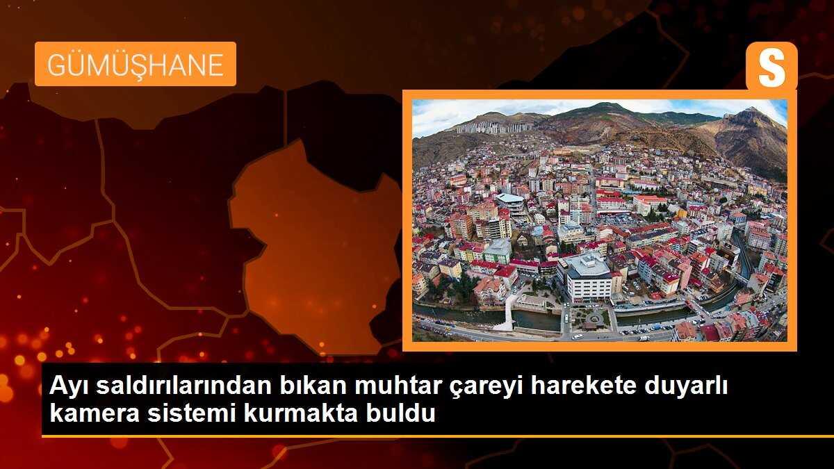 Ayı saldırılarından bıkan muhtar çareyi harekete duyarlı kamera sistemi kurmakta buldu