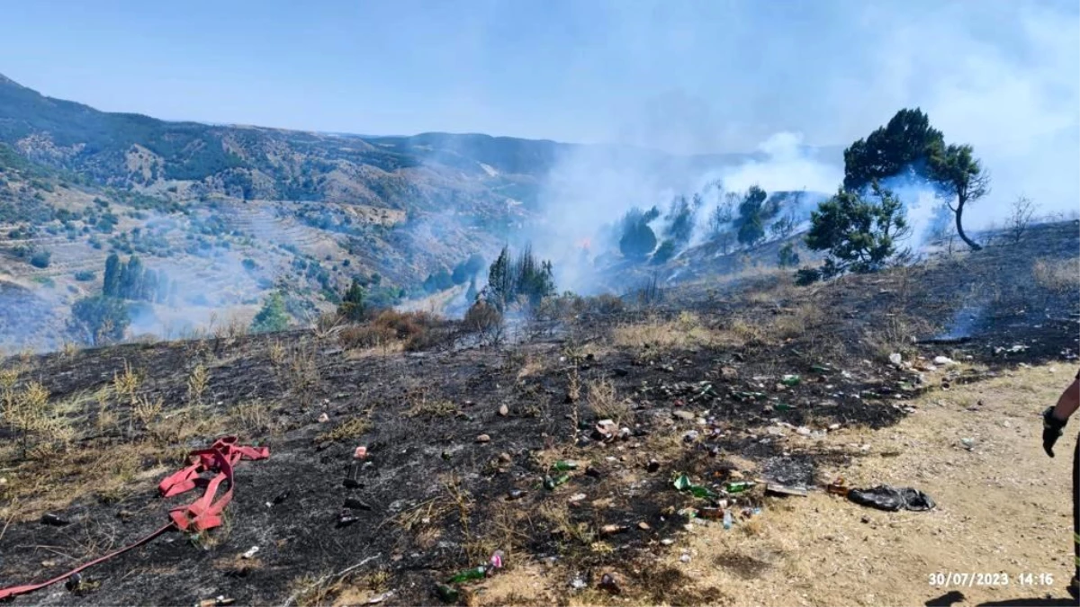 Bilecik\'te Orman Yangını: 10 Dönüm Alan Zarar Gördü