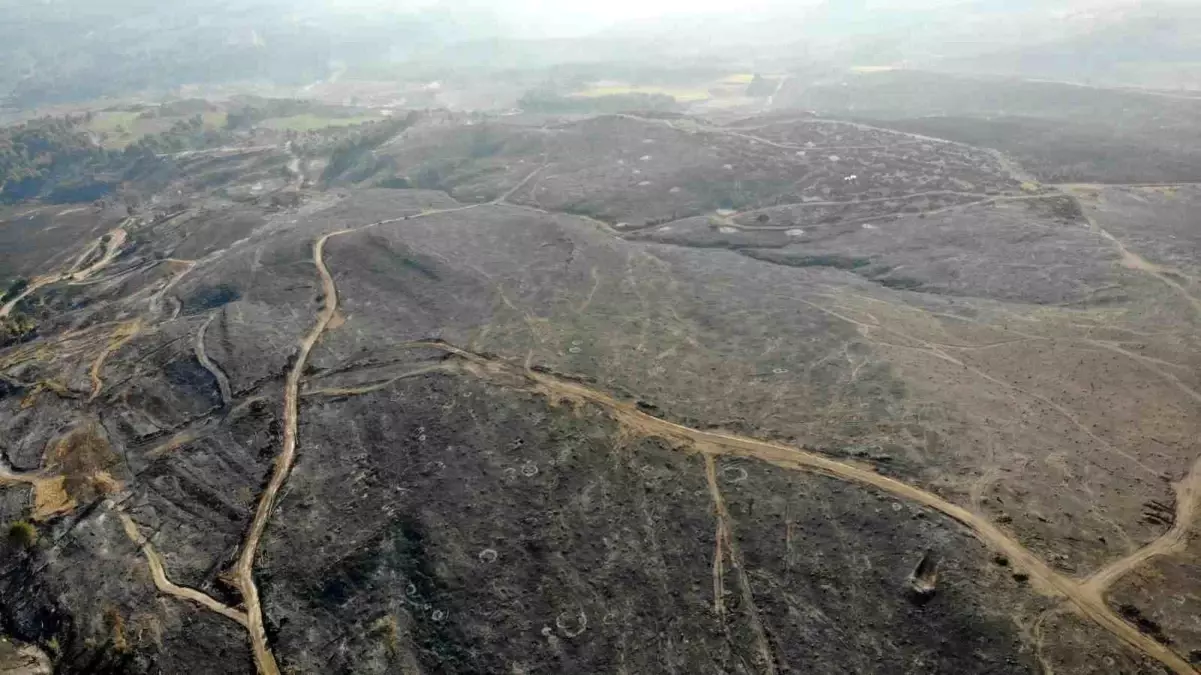 Çanakkale\'de 52 Saat Süren Orman Yangını Kontrol Altına Alındı