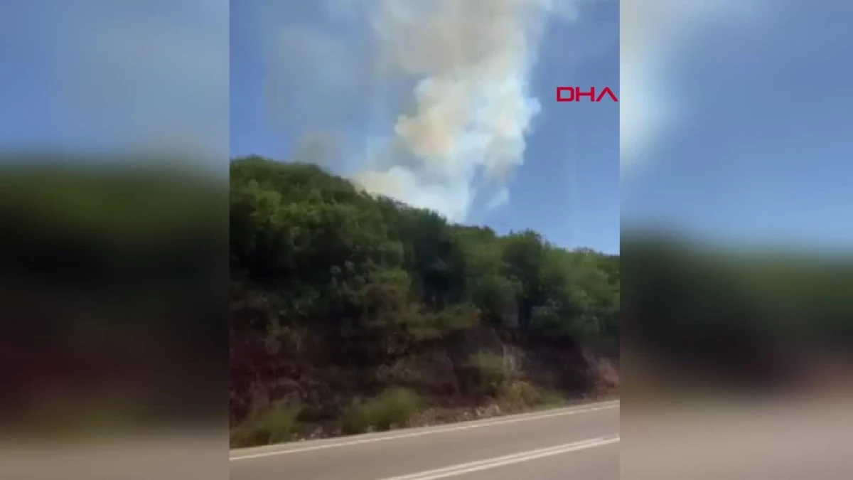 Antalya\'nın 2 ilçesinde orman yangını