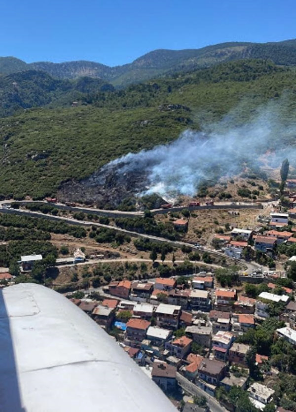 İzmir\'de Makilik ve Orman Yangınları Kontrol Altına Alındı