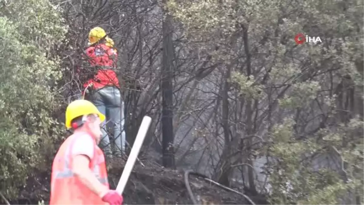 Kağıthane\'de ağaçlık alanda yangın paniği: Alevlere yangın söndürme helikopteri de müdahale etti