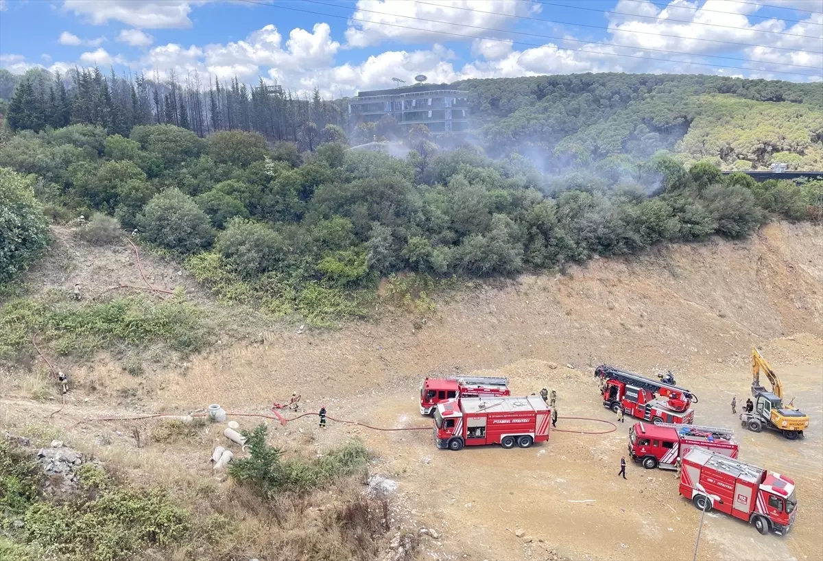 Kağıthane\'de ormanlık alanda çıkan yangın söndürüldü