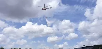 KAĞITHANE TEM Otoyolu'nda Ağaçlık Alanda Yangın Çıktı