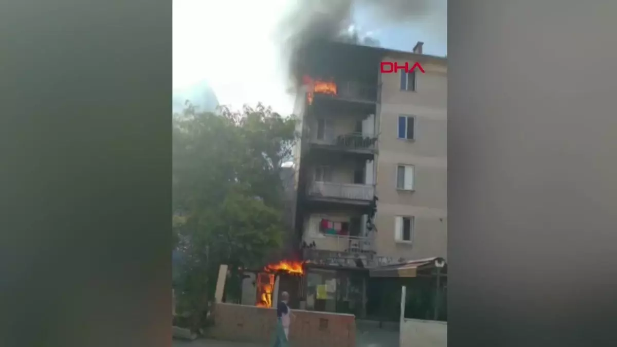 Kartal\'da Kömürlükte Çıkan Yangında 4 Yavru Kedi Yaralı Olarak Kurtarıldı