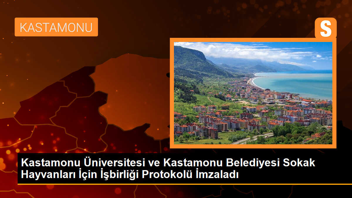 Kastamonu Üniversitesi ve Belediyesi Sokak Hayvanları İçin İşbirliği Protokolü İmzaladı