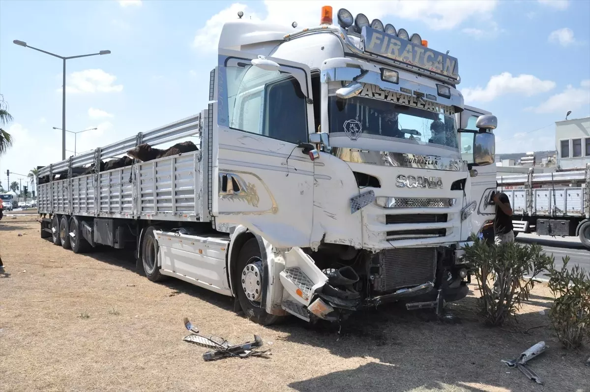 Mersin\'de Büyükbaş Hayvan Yüklü Tırın Hafif Ticari Araça Çarpması Sonucu 5 Kişi Yaralandı