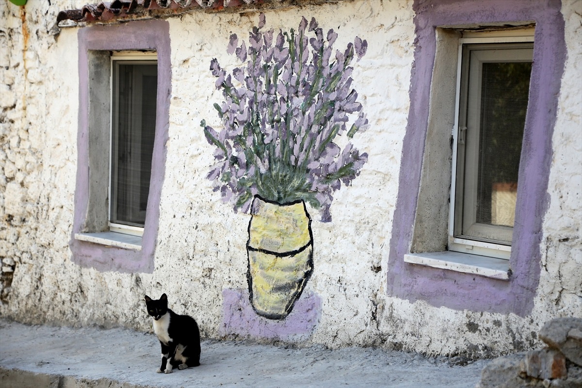 Muğla\'da Lavanta Tarlası Misafirlerini Ağırlıyor