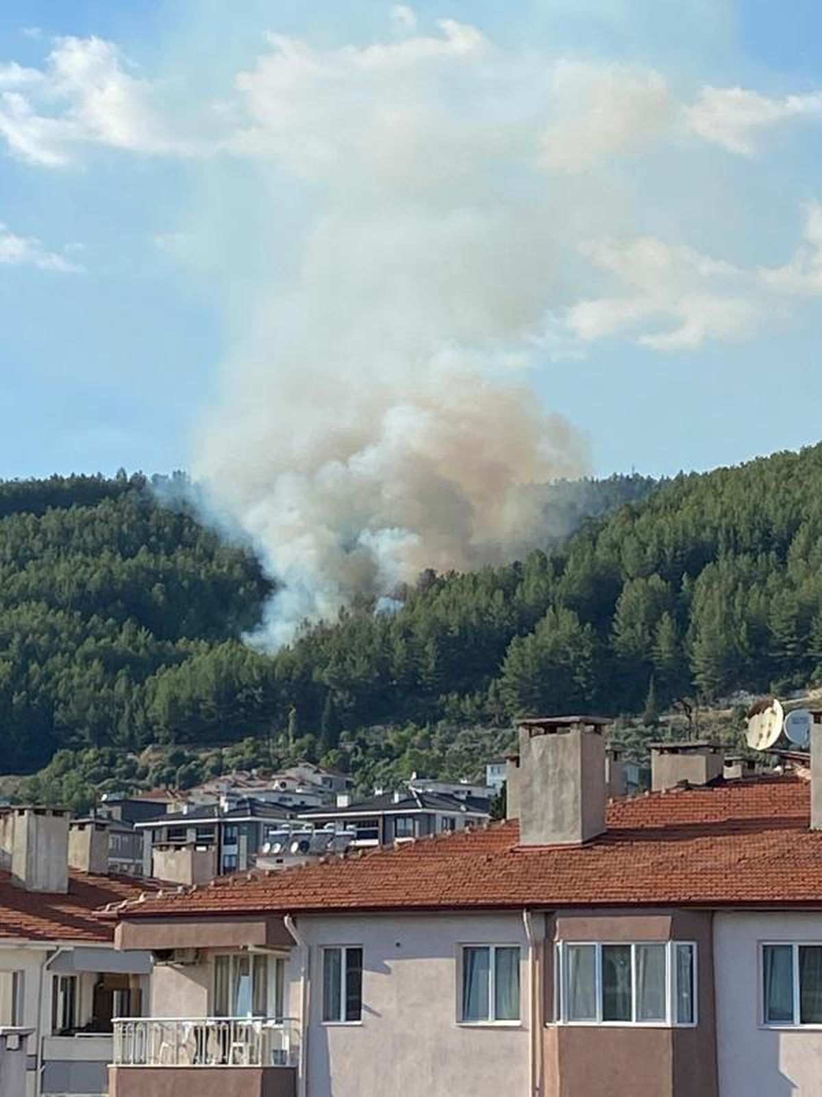 Muğla Menteşe\'de Orman Yangını Çıktı