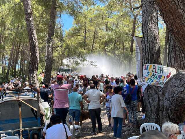 Muğla Valiliği: Akbelen'de kesim işlemleri sona erdi