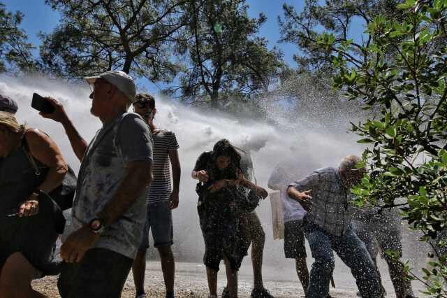 Muğla Valiliği: Akbelen'de kesim işlemleri sona erdi