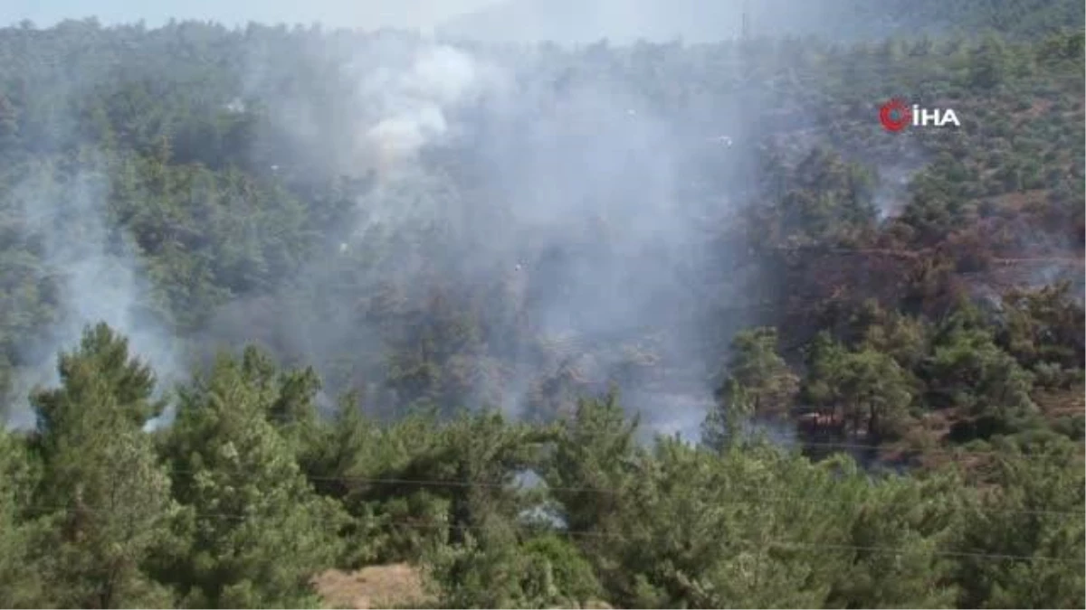 Urla\'da orman yangını İzmir\'de araçtaki alevlerin ormana sıçraması ile çıkan yangına müdahale sürüyor