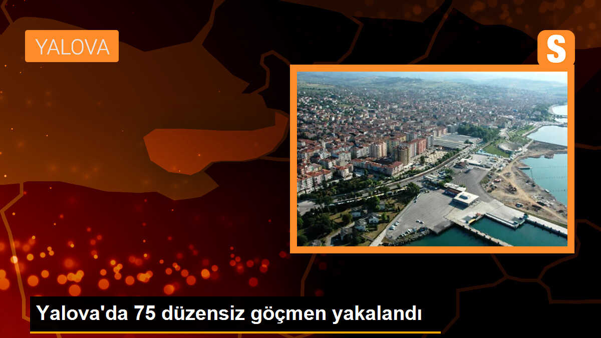 Yalova\'da 75 düzensiz göçmen yakalandı, 1 göçmen kaçakçısı gözaltına alındı