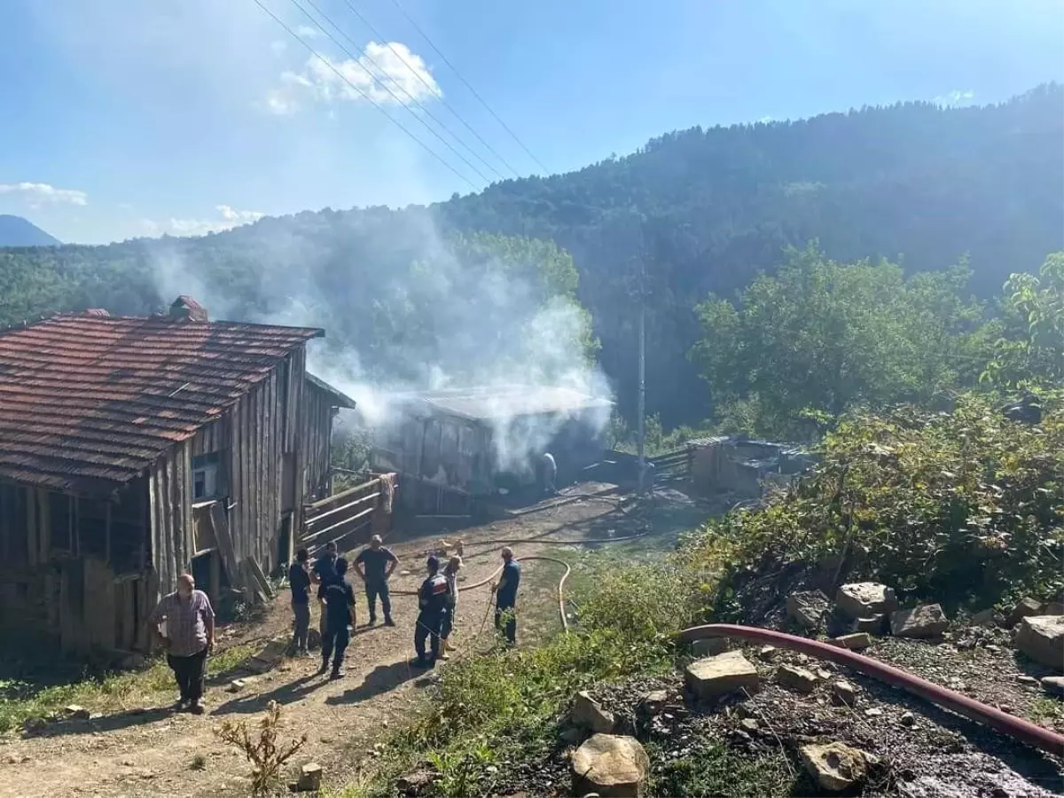 Karabük\'ün Eflani ilçesinde prefabrik evde çıkan yangında kadın yaralandı