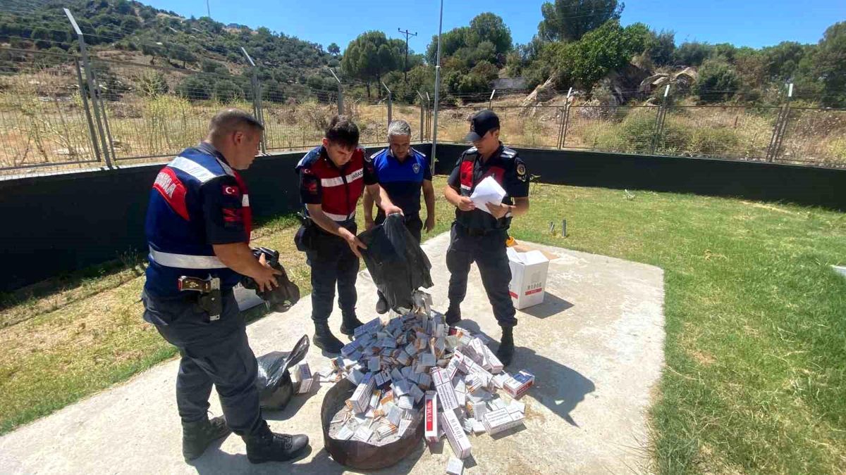 Aydın\'da Jandarma Operasyonunda Bin 191 Paket Sigara Ele Geçirildi