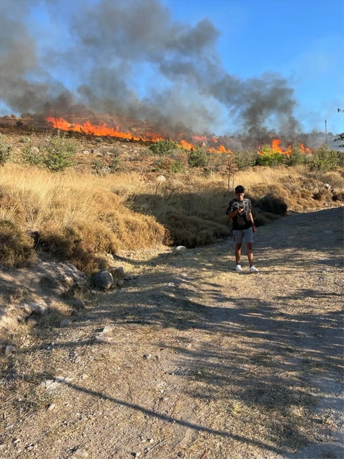 Muğla Bodrum\'da çıkan yangın kontrol altına alındı