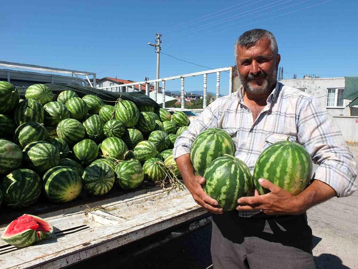 Burhaniye\'de Karpuz Fiyatları Çiftçileri Memnun Etti