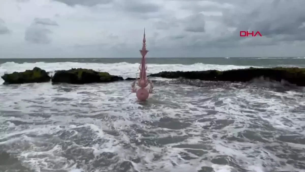 Doğadaki Plastik Kirliliğine Dikkat Çeken Heykel Parçalandı