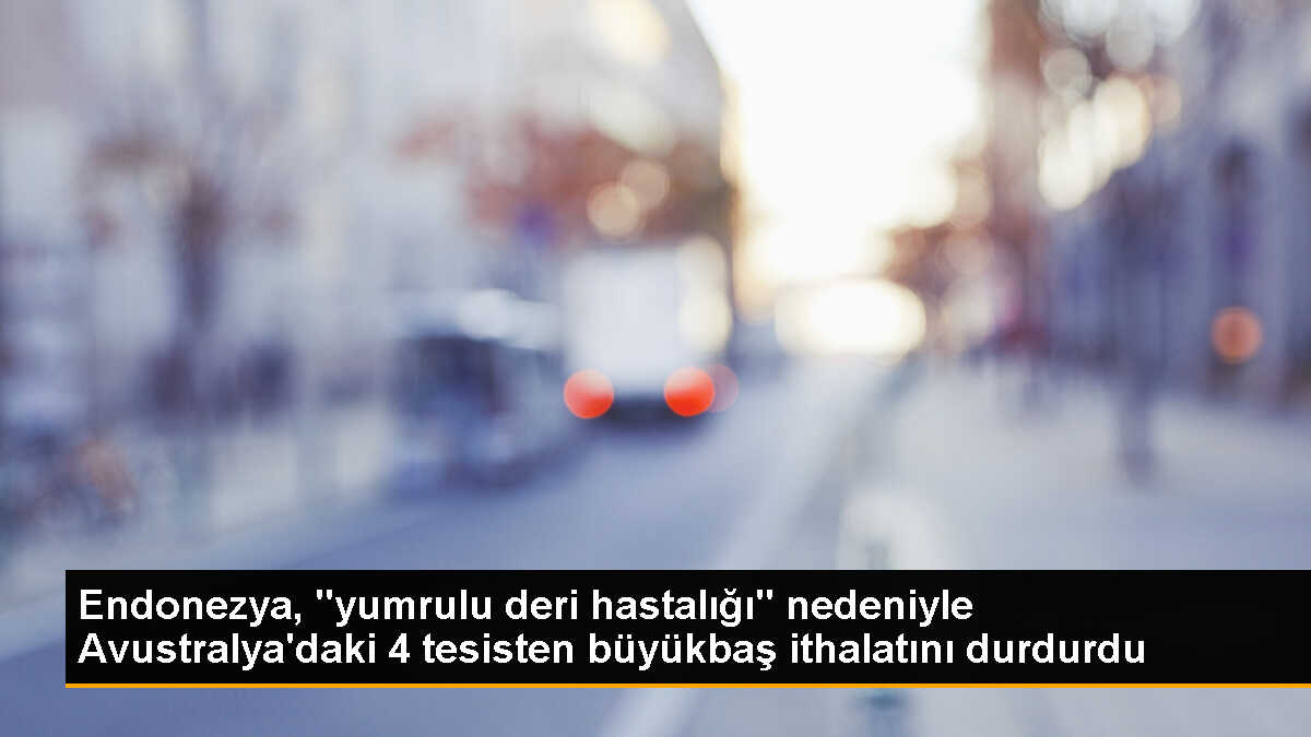 Endonezya, Avustralya\'dan ithalatı askıya aldı