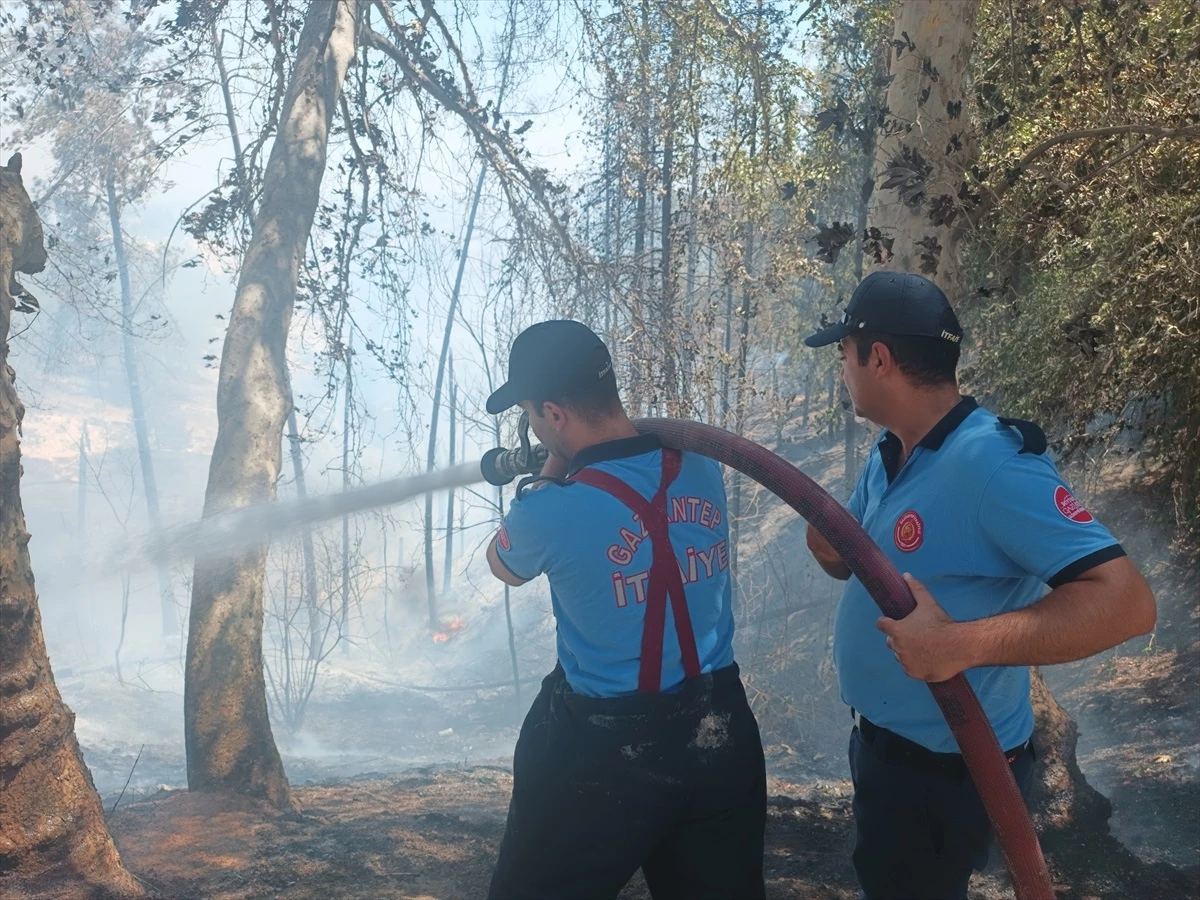 Gaziantep\'in Nizip ilçesinde çıkan orman yangını söndürüldü