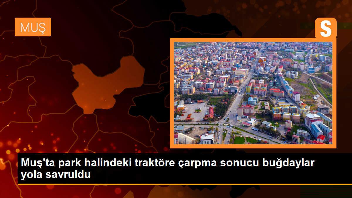 Muş\'ta Traktör Kazası: Buğdaylar Yola Savruldu