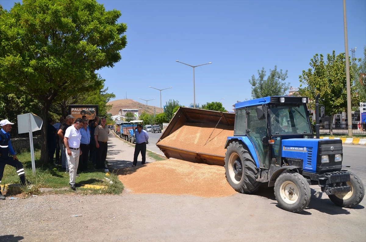 Muş\'ta Traktörün Çarpması Sonucu Buğday Yüklü Römork Devrildi