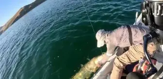 Elazığ'da 3 Balıkçı Fırat Turnası Yakaladı