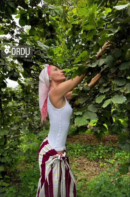 Ordu'ya giden Gülşen, fındık bahçesine girdi! Verdiği poz olay Ordu'ya giden Gülşen, fındık bahçesine girdi! Verdiği poz olay