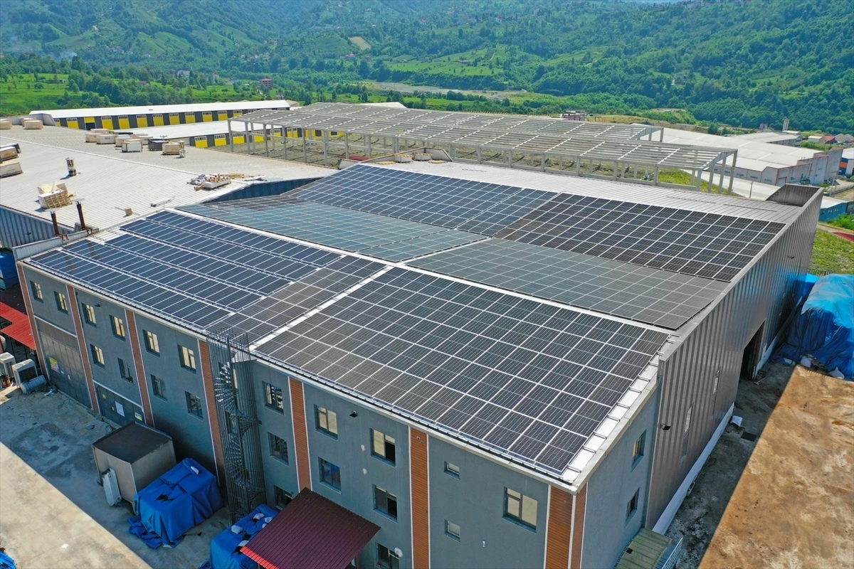 Rize\'de Çay Çöpünden Mangal Kömürü Üreten Tesiste Güneş Panelleriyle Elektrik Üretimi
