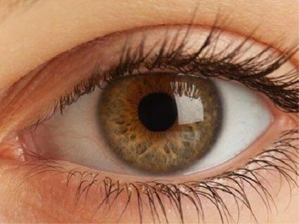 Romatizmal Hastalıklar Göz Sağlığını Etkileyebilir