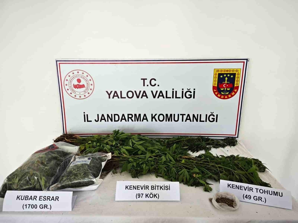 Yalova\'da Uyuşturucu Yetiştirilen Villaya Operasyon: 1 Tutuklama