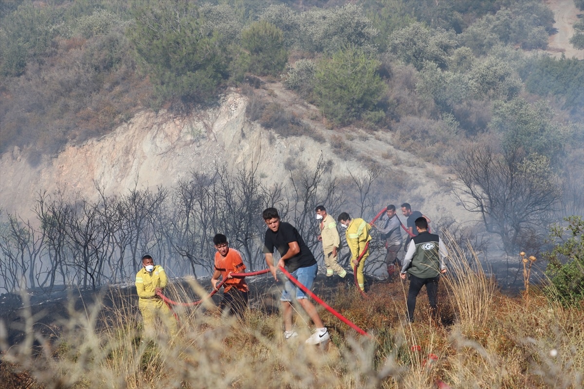 Antakya\'da Zeytinlik ve Ormanlık Alanda Çıkan Yangın Kontrol Altına Alındı