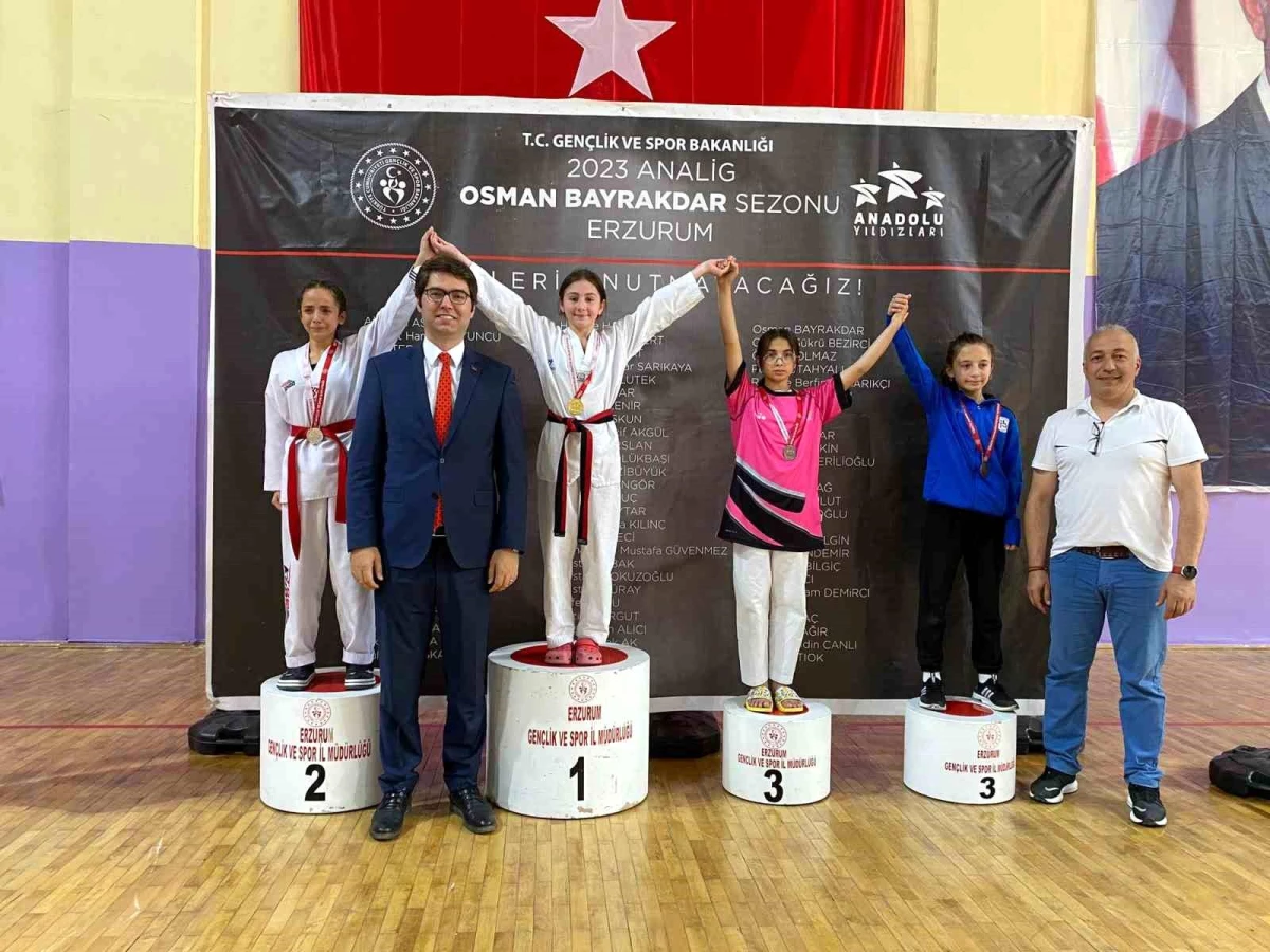 Aşkale\'de Taekwondo Analig Grup Müsabakaları Başladı