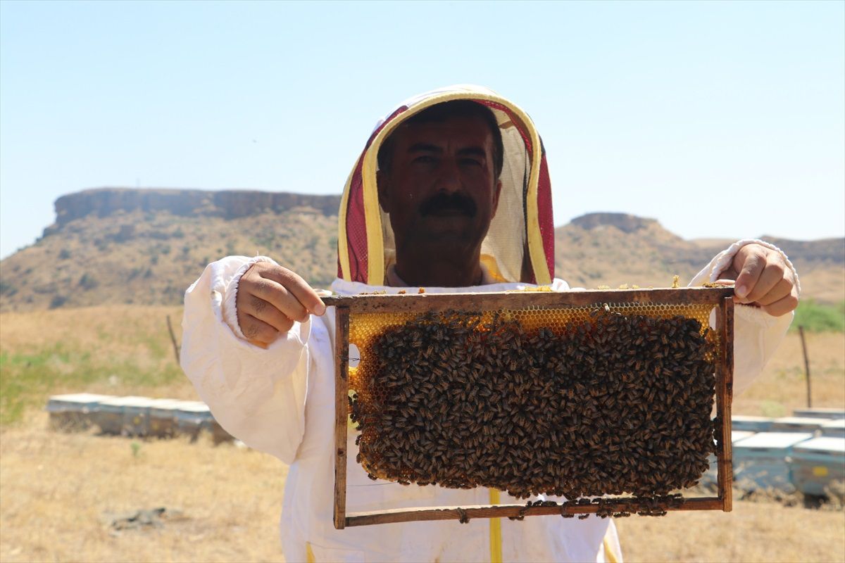 Batman Arı Yetiştiricileri Birliği, 2023 Sezonu İçin Bal Satış Fiyatlarını Belirledi