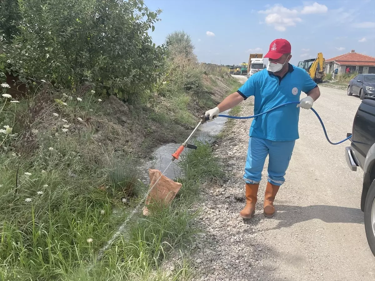 Edirne\'de Sivrisinek İlaçlama Çalışmaları Devam Ediyor